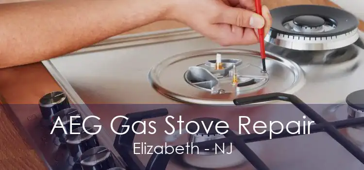AEG Gas Stove Repair Elizabeth - NJ