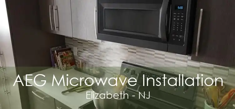 AEG Microwave Installation Elizabeth - NJ