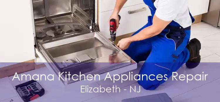 Amana Kitchen Appliances Repair Elizabeth - NJ
