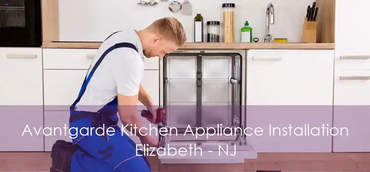 Avantgarde Kitchen Appliance Installation Elizabeth - NJ