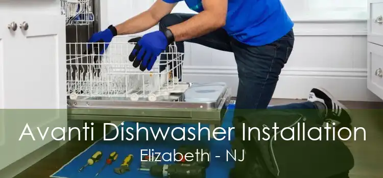 Avanti Dishwasher Installation Elizabeth - NJ