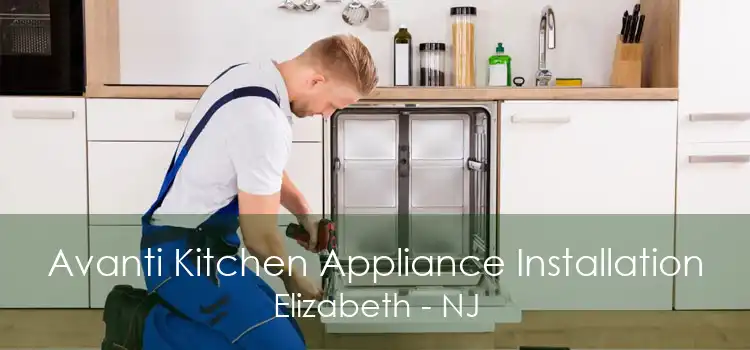 Avanti Kitchen Appliance Installation Elizabeth - NJ