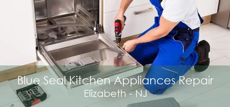 Blue Seal Kitchen Appliances Repair Elizabeth - NJ