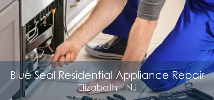 Blue Seal Residential Appliance Repair Elizabeth - NJ