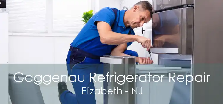 Gaggenau Refrigerator Repair Elizabeth - NJ