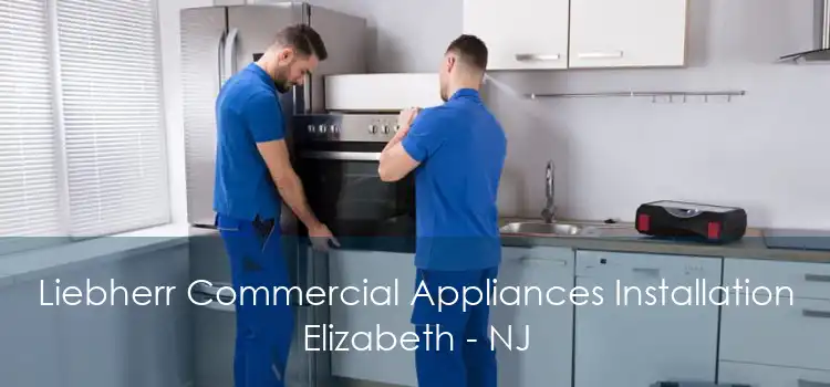 Liebherr Commercial Appliances Installation Elizabeth - NJ