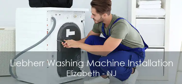 Liebherr Washing Machine Installation Elizabeth - NJ