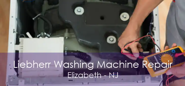 Liebherr Washing Machine Repair Elizabeth - NJ