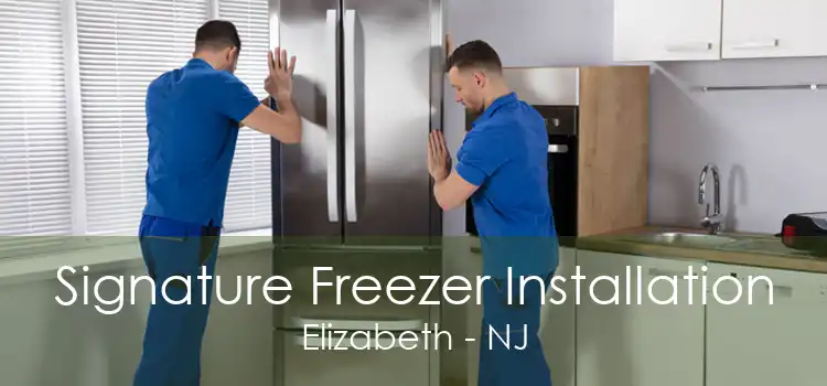 Signature Freezer Installation Elizabeth - NJ